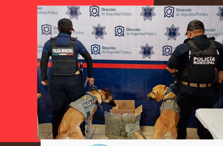 Escuadrón canino asegura droga en paquetería de Torreón