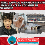 «El perro que salvó a patinador mexicano de la tragedia aérea»