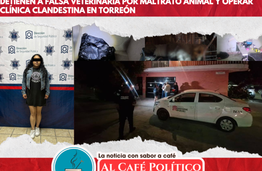 Detienen a mujer por maltrato animal y operar clínica clandestina en Torreón