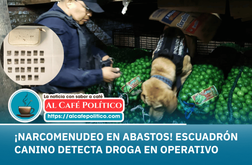 Asegura escuadrón canino droga en operativo…