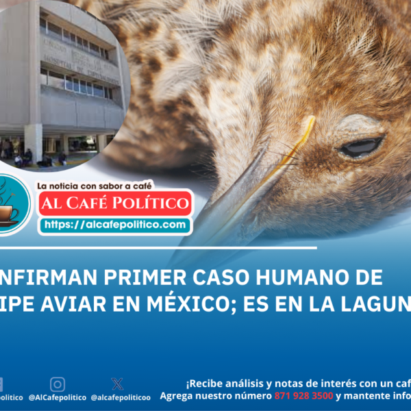 Confirman primer caso de gripe aviar en humano…