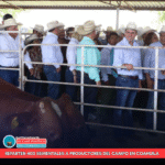 Entregan 400 toros a ganaderos de Coahuila