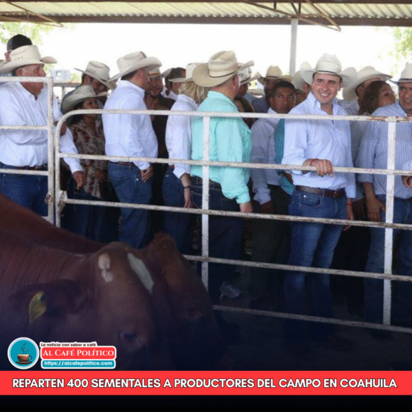 Entregan 400 toros a ganaderos de Coahuila