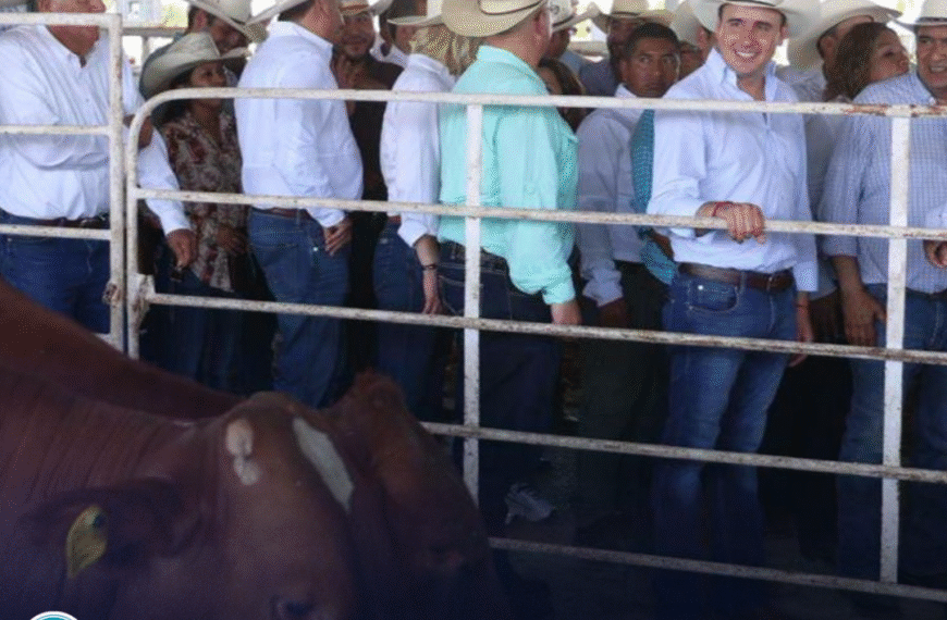 Entregan 400 toros a ganaderos de…