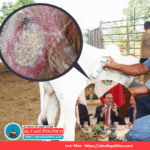 Exigen Coahuila y ganaderos acciones contundentes ante crisis por gusano barrenador