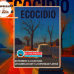Torreón sin sombra: el ecocidio disfrazado de progreso