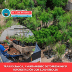 Tras protestas, Municipio anuncia entrega de 3 mil árboles como parte del Plan de Arbolización 2025