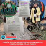 Amparo contra tala de árboles por obra vial en Torreón; gobierno asegura reforestación