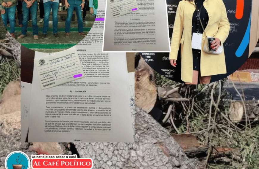 Amparo contra tala de árboles por…