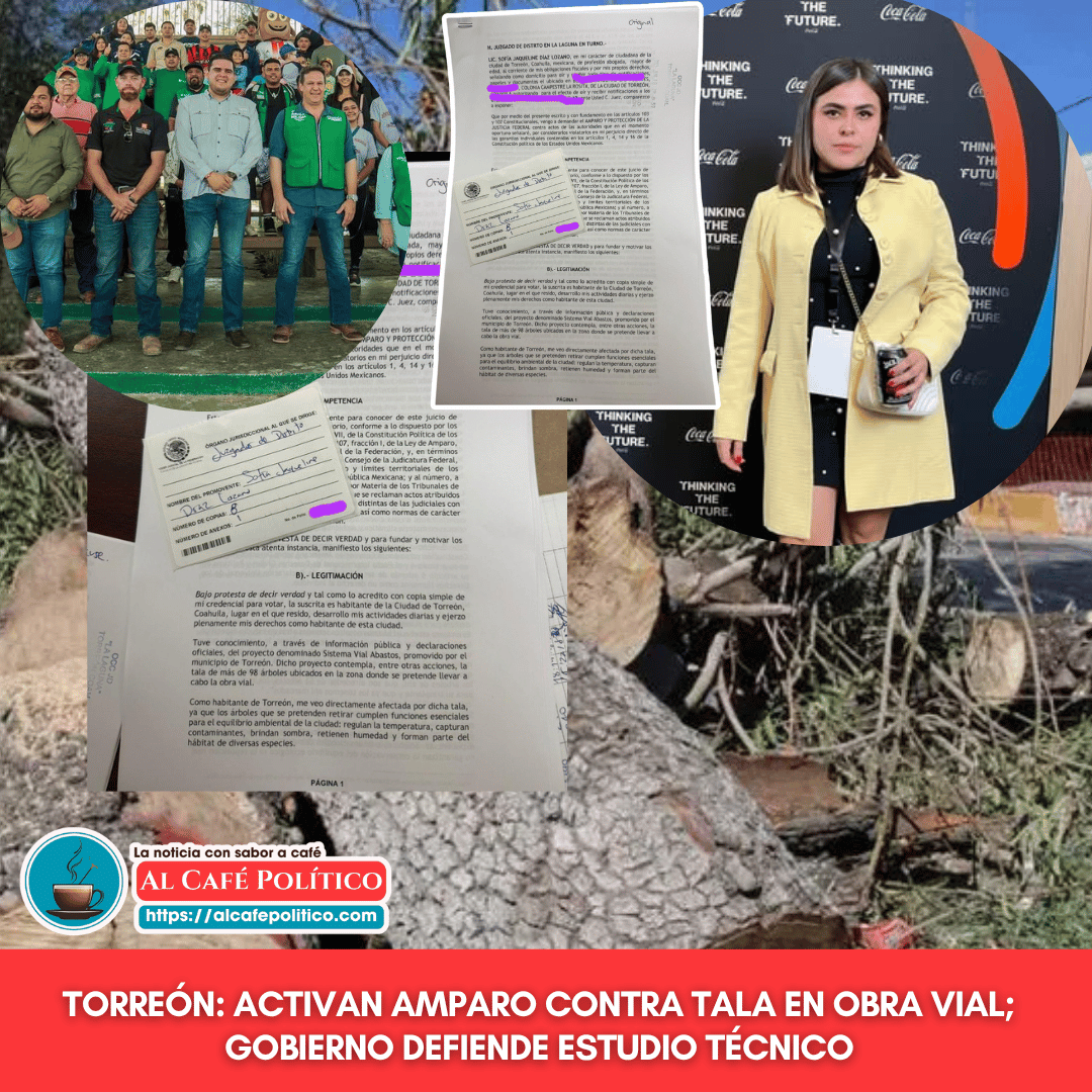 Amparo contra tala de árboles por obra vial&hellip;