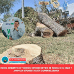Aseguran que retiro de árboles en obra vial de Torreón se hará con compensación ambiental