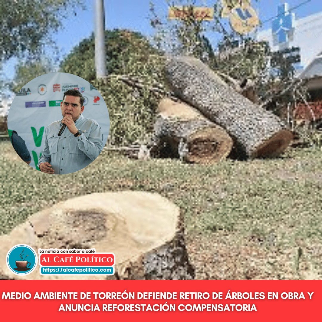 Aseguran que retiro de árboles en obra vial&hellip;
