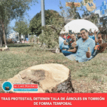 Ayuntamiento de Torreón suspende tala y revalúa estrategia ambiental