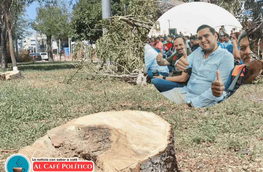 Ayuntamiento de Torreón suspende tala y…