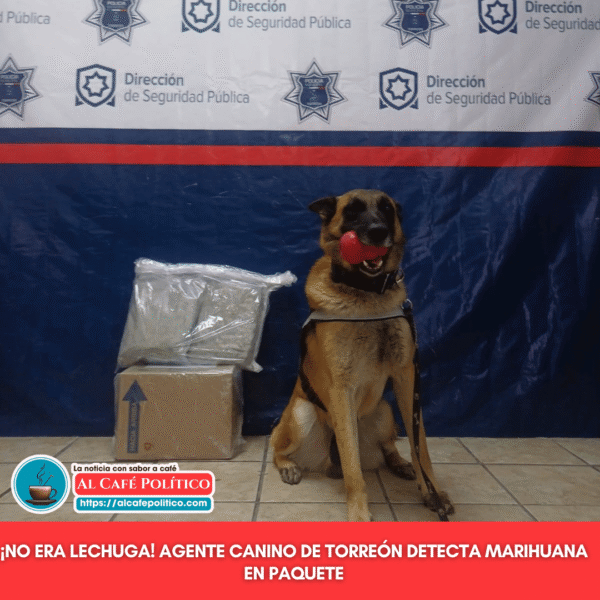 Perro policía detecta marihuana en paquete disfrazado de&hellip;