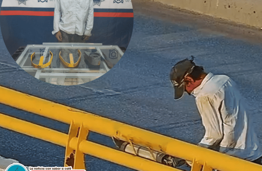 Lo atrapan en flagrancia: dañaba luminaria en el Nudo Mixteco