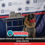 Otra más del K9: frustran envío de droga desde Torreón