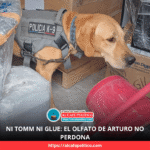 Ahora la droga viaja en bolsas “TOMM”… pero los canes de Torreón no perdonan ni un paquete