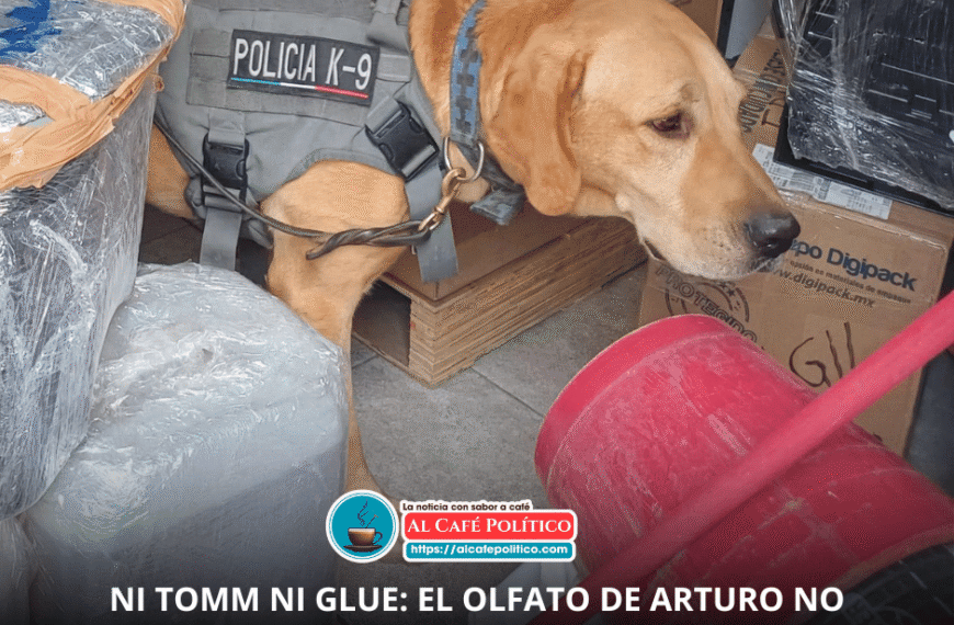 Ahora la droga viaja en bolsas “TOMM”… pero los canes de Torreón no perdonan ni un paquete