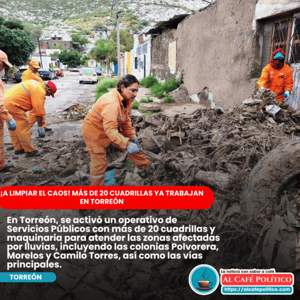 Lodo, árboles caídos y bocas tapadas: así trabaja…