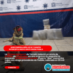 Nueva detección de narcóticosen paquetería por K9; interceptan cargamento de Puebla