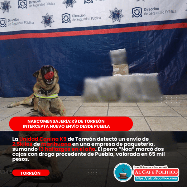 Nueva detección de narcóticosen paquetería por K9; interceptan&hellip;