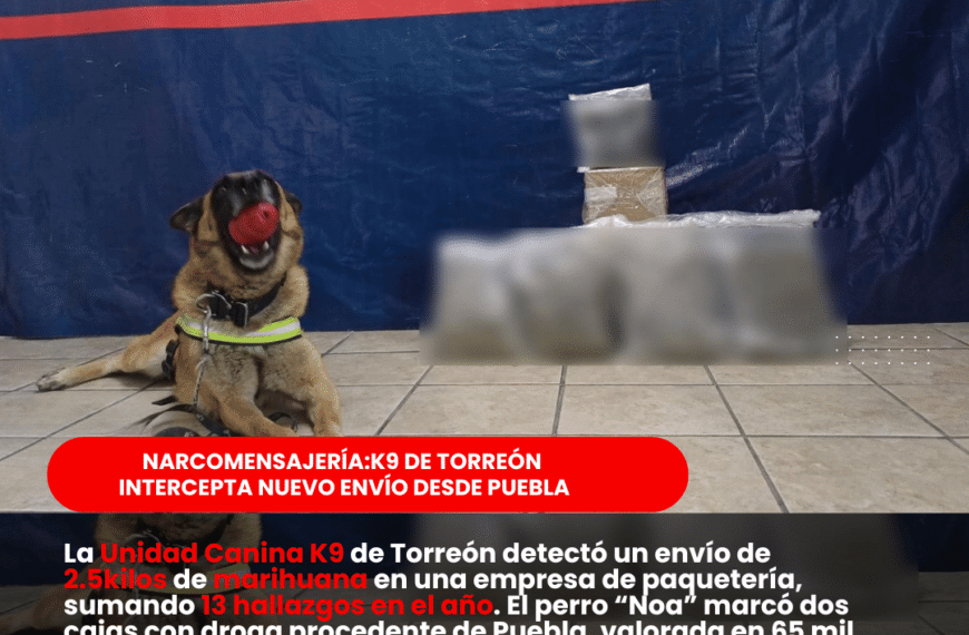 Nueva detección de narcóticosen paquetería por K9; interceptan cargamento de Puebla
