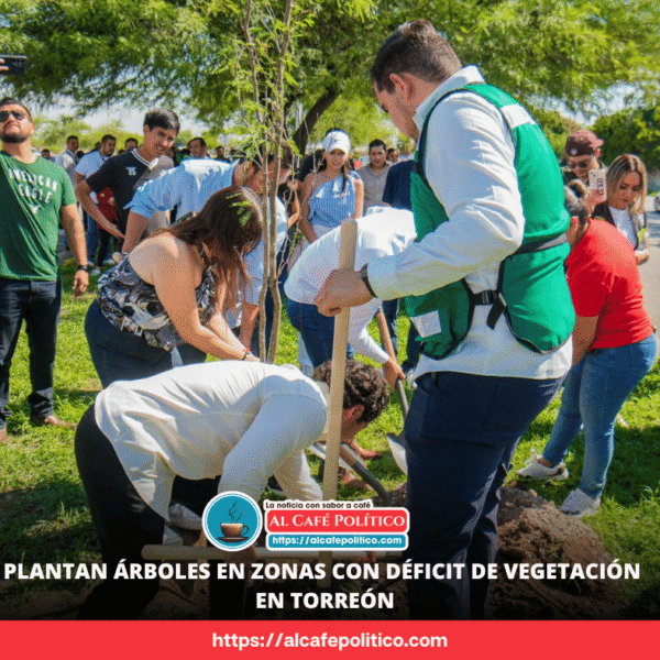 Se busca  el equilibrio verde en Torreón
