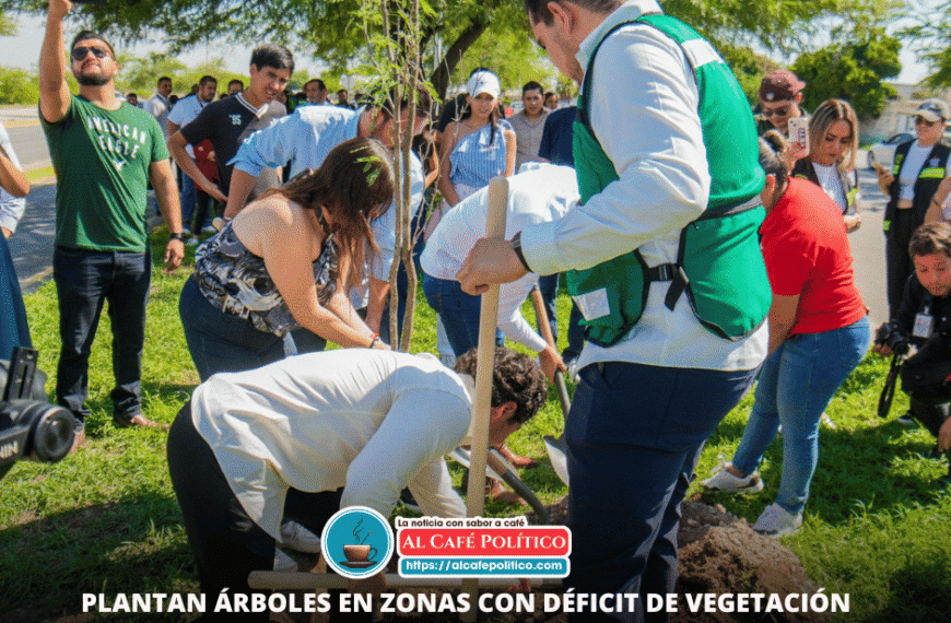 Se busca  el equilibrio verde en Torreón