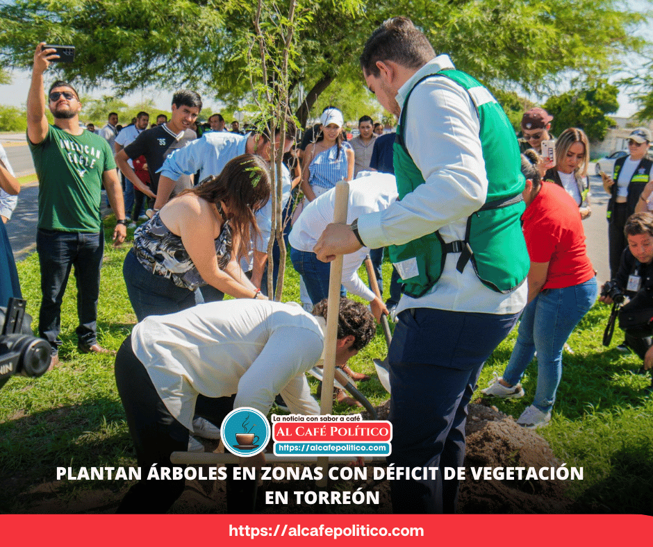 Se busca  el equilibrio verde en Torreón