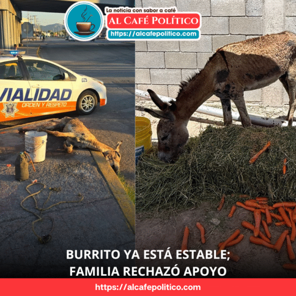 «El burrito ya se recupera, está en buenas…