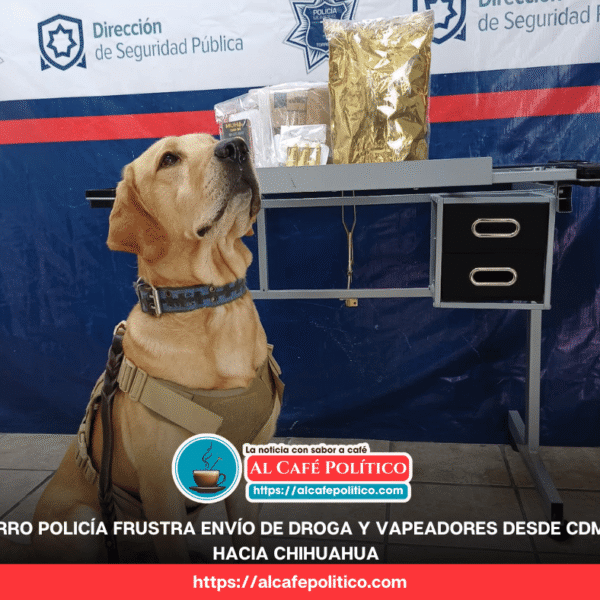 “Arturo”, el perro policía, descubre marihuana y vapeadores&hellip;