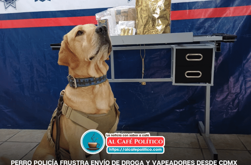 “Arturo”, el perro policía, descubre marihuana y vapeadores…