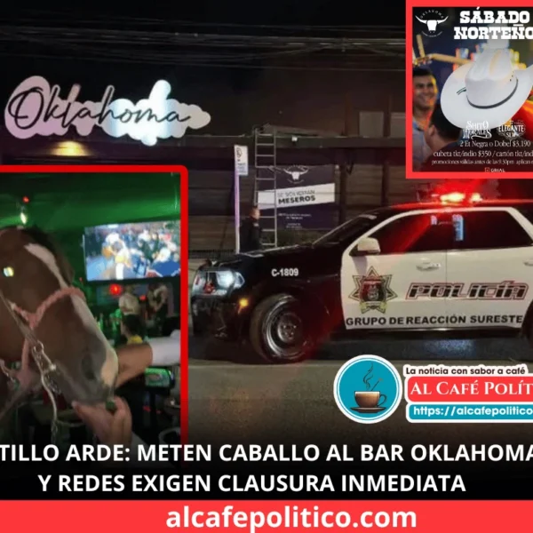 “Sábado Norteño”… con caballo incluido Indignación en bar…