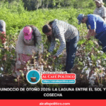 Del algodón al nuevo ciclo: la Comarca Lagunera vive el otoño