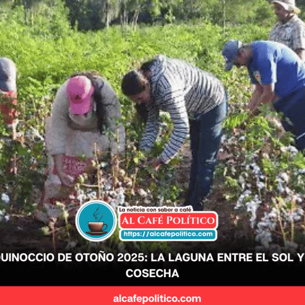 Del algodón al nuevo ciclo: la Comarca Lagunera&hellip;