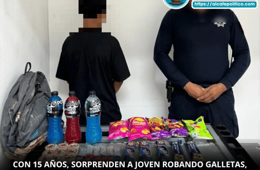 Intentaba huir por la azotea: menor tras robar&hellip;