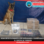 El canino Noah vuelve a dar golpe al narcomenudeo enpaquetería de Torreón