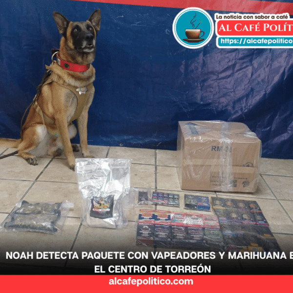 El canino Noah vuelve a dar golpe al&hellip;
