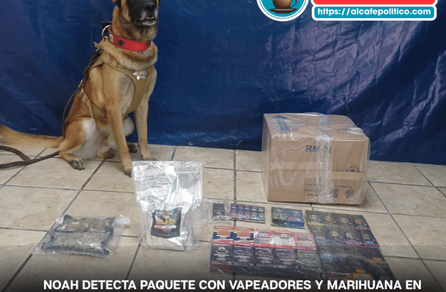 El canino Noah vuelve a dar golpe al narcomenudeo enpaquetería de Torreón