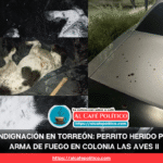 Crueldad en Las Aves II: disparan contra un perrito en Torreón