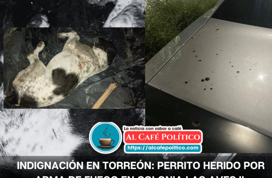 Crueldad en Las Aves II: disparan contra un perrito en Torreón