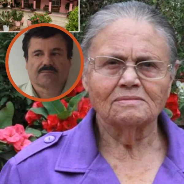 Presunto ataque con explosivos a la “Casa Rosa”&hellip;