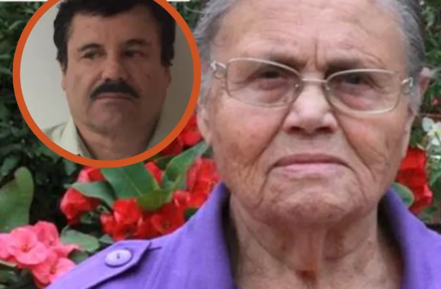 Presunto ataque con explosivos a la “Casa Rosa” de la madre de Joaquín Guzmán