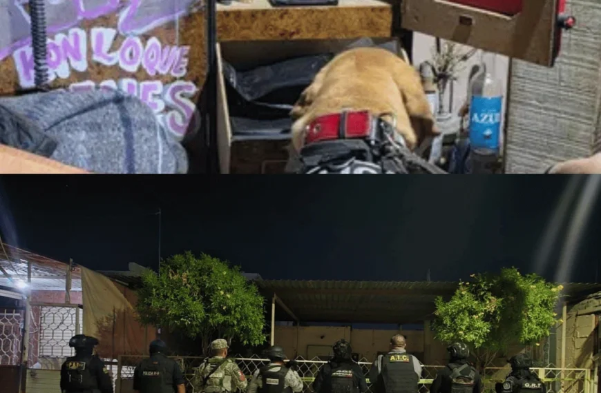 Más de dos mil dosis de cristal aseguradas en operativo al norte de Torreón