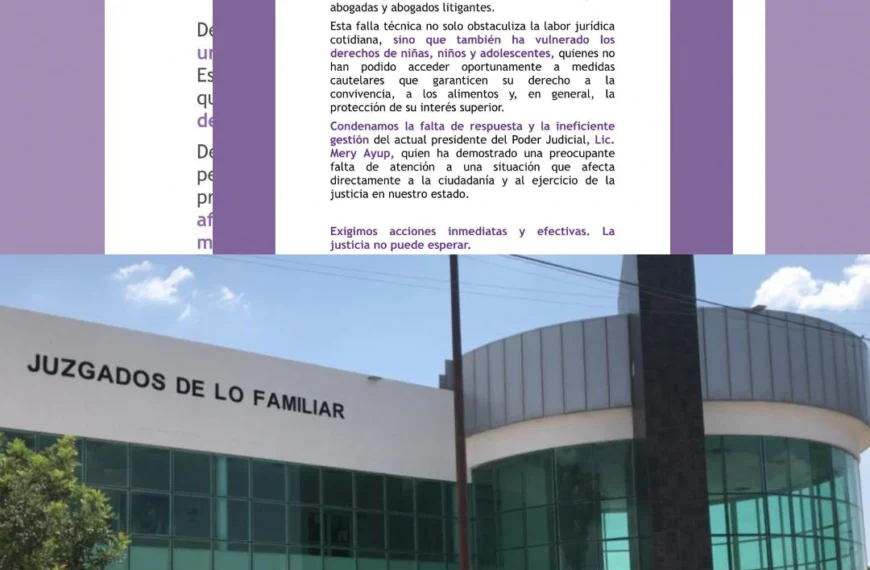 Abogadas Laguneras exige restablecer sistema del Poder Judicial&hellip;