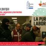 Calaveras, purga y poder: los vivos que cobran y los muertos que trabajan