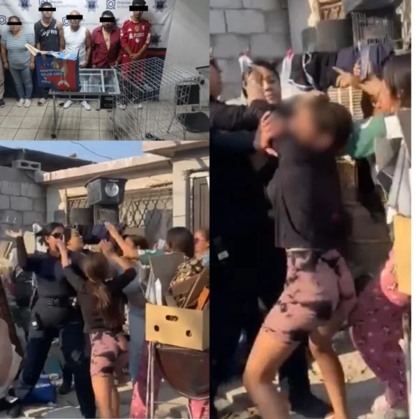 Denuncian peleas de gallos en Torreón; operativo acaba…