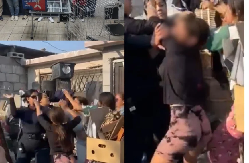 Denuncian peleas de gallos en Torreón; operativo acaba en confrontación y críticas por uso de fuerza