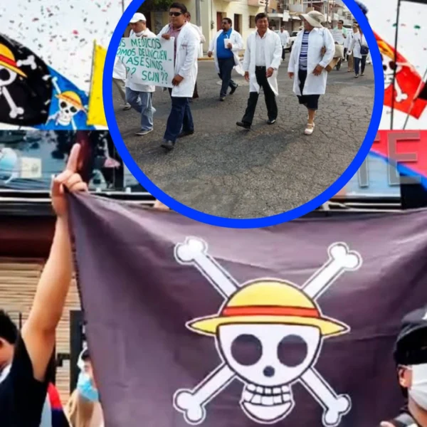 Generación Z y Batas Blancas: convocan marcha nacional&hellip;